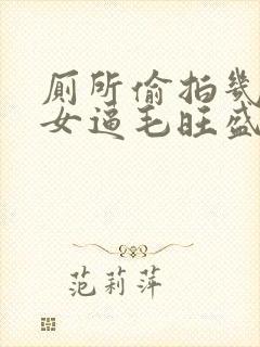 厕所偷拍几个美女逼毛旺盛还很性感