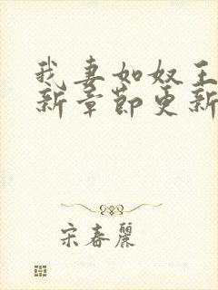 我妻如奴王琳最新章节更新