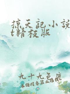 掠天记小说txt精校版