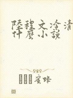 陆程文冷清秋是什么小说