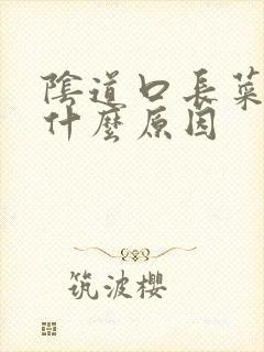 阴道口长菜花是什么原因