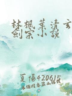 林枫叶清玄神霄剑宗小说