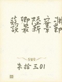 苏卿陆容渊的小说最新章节