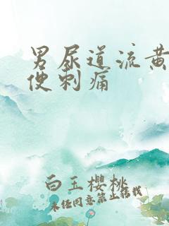 男尿道流黄脓小便刺痛