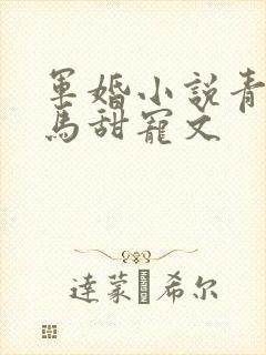 军婚小说青梅竹马甜宠文