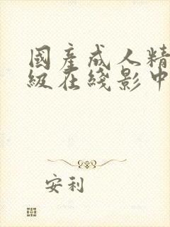 国产成人精品三级在线影中文