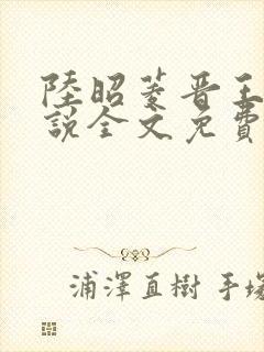 陆昭菱晋王的小说全文免费阅读3yt