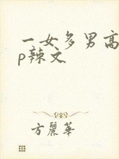 一女多男高hnp辣文