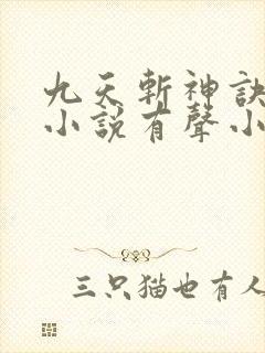 九天斩神诀林辰小说有声小说