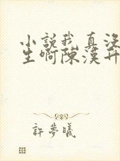 小说我真没想重生啊陈汉升正版