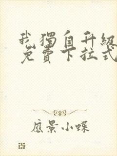 我独自升级漫画免费下拉式在线