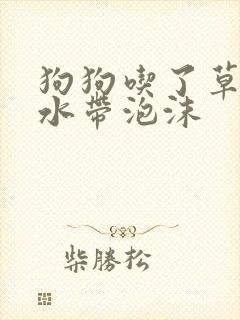 狗狗吃了草吐黄水带泡沫