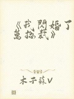 《我闪婚了个亿万总裁》