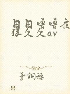 日日噜噜夜夜狠狠久久av