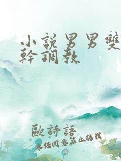 小说男男双性高干调教