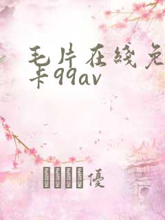 毛片在线免费不卡99av