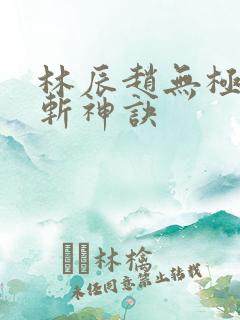 林辰赵无极九天斩神诀