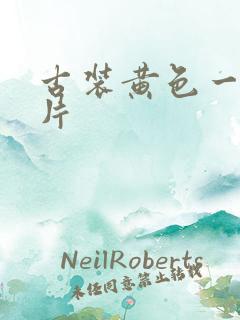 古装黄色一级大片