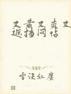 又黄又爽又色无遮挡网站