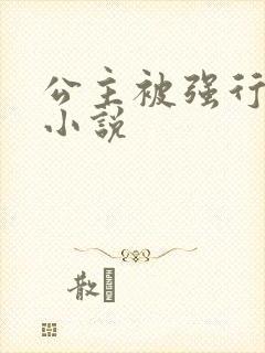 公主被强行糟蹋小说