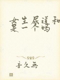 女生尿道和阴道是一个吗