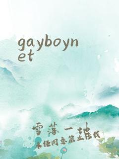 gayboynet