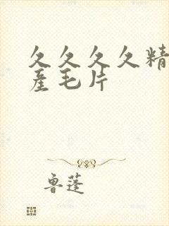 久久久久精品国产毛片