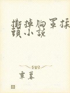 撕掉胸罩揉吮奶头小说