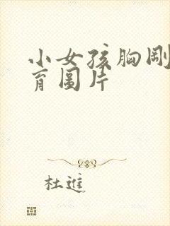 小女孩胸刚刚发育图片