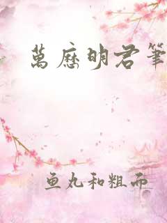 万历明君笔趣阁