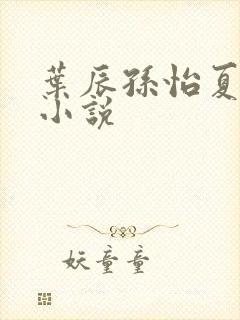 叶辰孙怡夏若雪小说