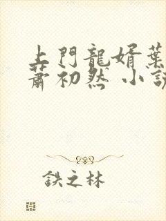 上门龙婿叶辰,萧初然 小说