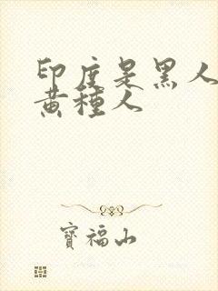 印度是黑人还是黄种人