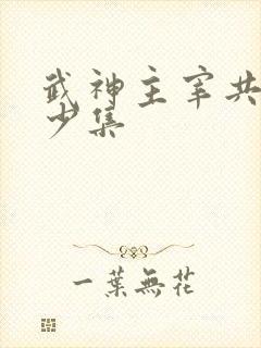 武神主宰共有多少集