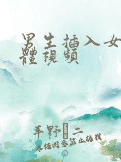 男生插入女生下体视频