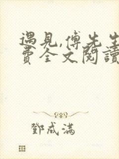 遇见,傅先生免费全文阅读