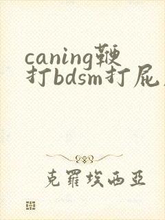 caning鞭打bdsm打屁股视频