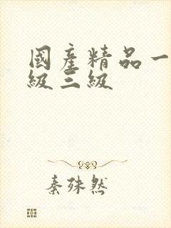 国产精品一级二级三级