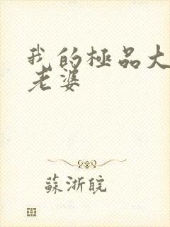 我的极品大明星老婆