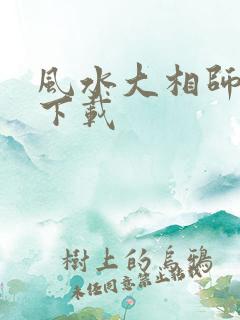 风水大相师小说下载