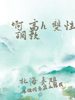 啊 高h 双性 调教
