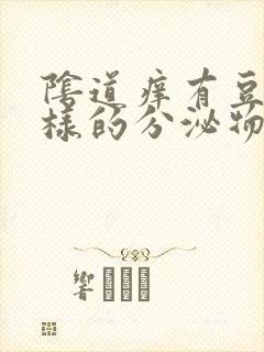 阴道痒有豆腐渣样的分泌物