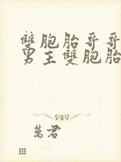 双胞胎哥哥死了男主双胞胎弟弟顶替了哥哥