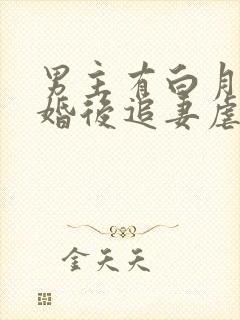 男主有白月光的婚后追妻虐文