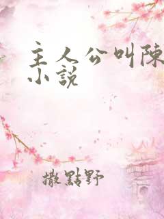 主人公叫陈丰的小说