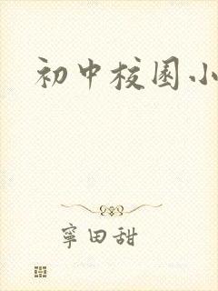 初中校园小说