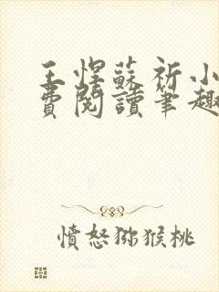 王悍苏祈小说免费阅读笔趣阁最新