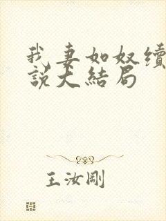 我妻如奴续写小说大结局