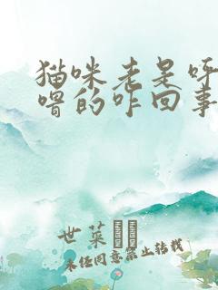 猫咪老是呼噜呼噜的咋回事