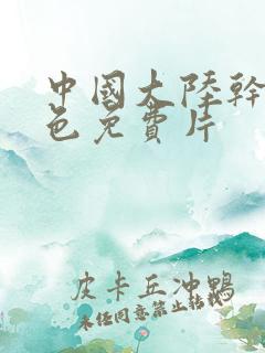 中国大陆干逼黄色免费片